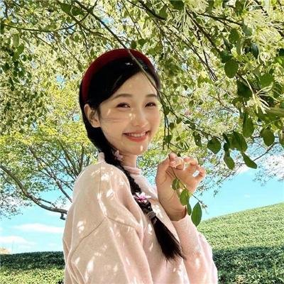 轻微盗窃案