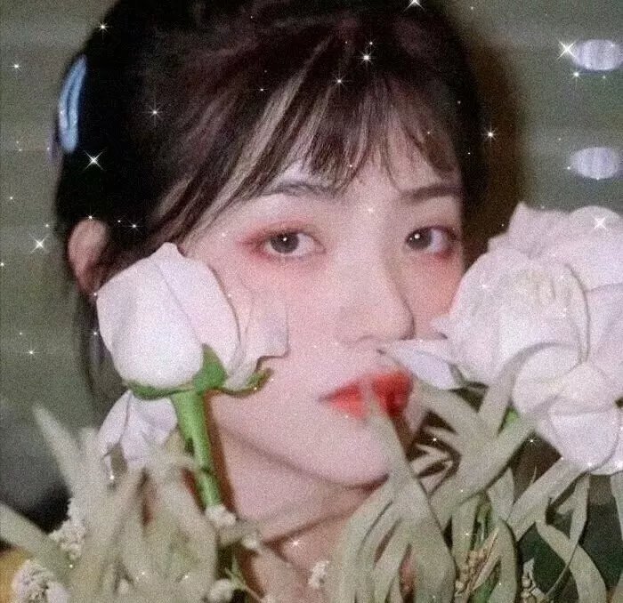 婊妹